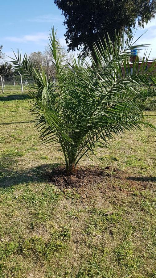 Terrabox Apart De Contenedores Olivera Εξωτερικό φωτογραφία