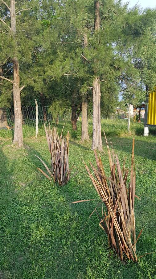 Terrabox Apart De Contenedores Olivera Εξωτερικό φωτογραφία
