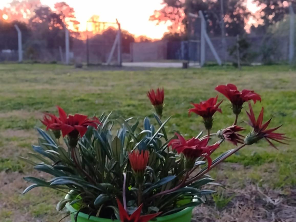 Terrabox Apart De Contenedores Olivera Εξωτερικό φωτογραφία